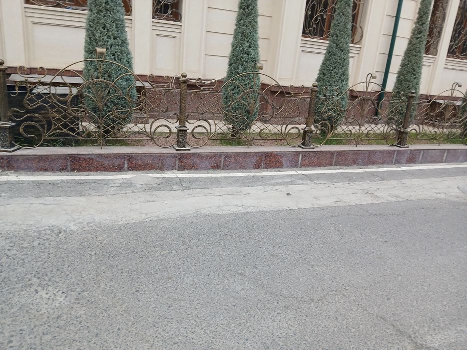 Arizoniskiy kiporis   4.   4 5.  Metr