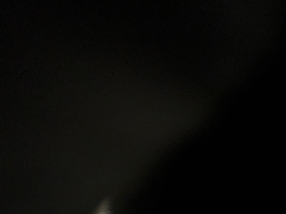 Домашние цветы в горшках