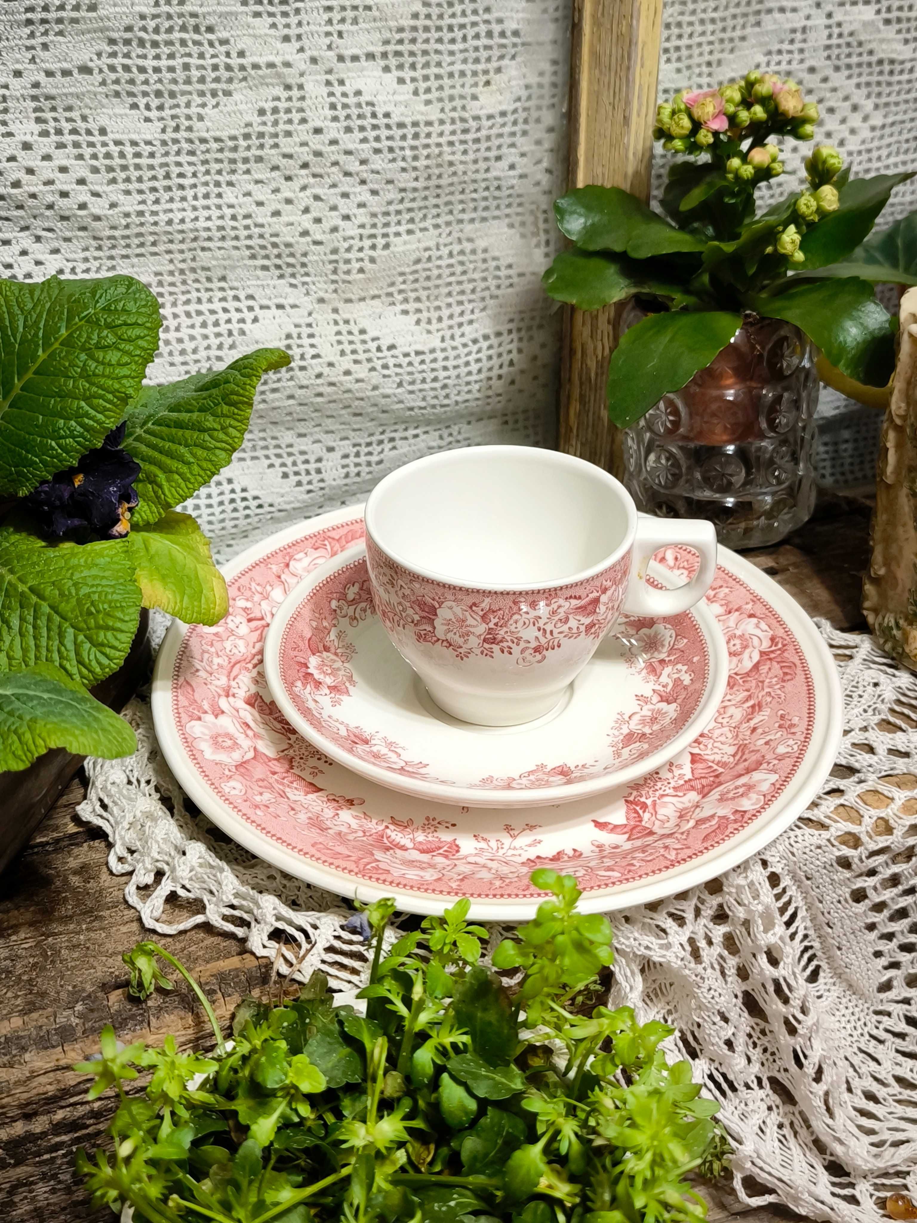 Троен сет  Villeroy & Boch