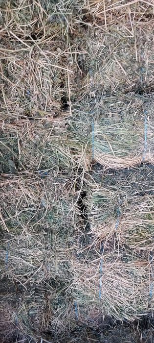 Baloți de lucernă,fân dreptunghiular,rotund! Se asigura transport!