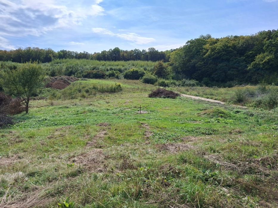 Vand 1200mp teren intravilan pe Valea Garbaului, Floresti