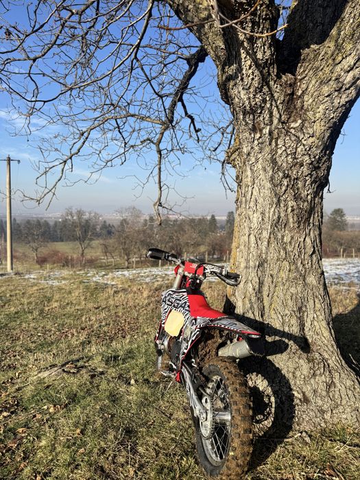 Gas Gas EC 300 MY 2024
