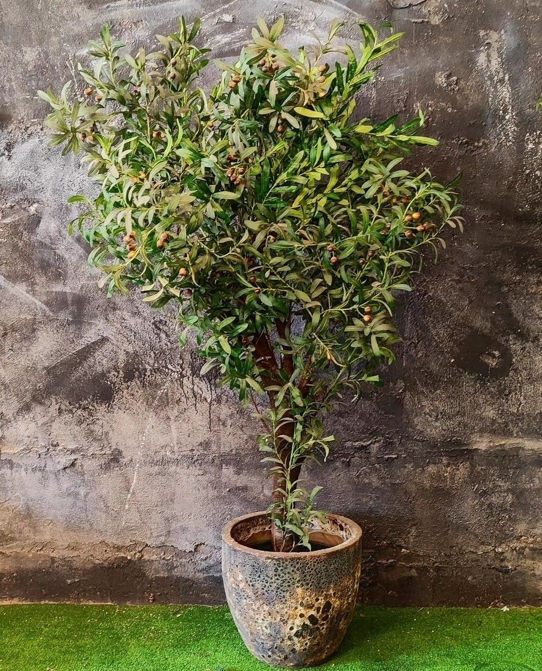 Изкуствено маслиново дръвче