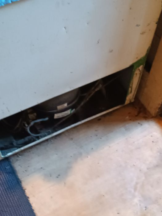 Lada frigorifica mare