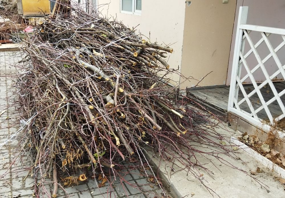 Отдам ветки связанные в тюки. Самовывоз заречный 2