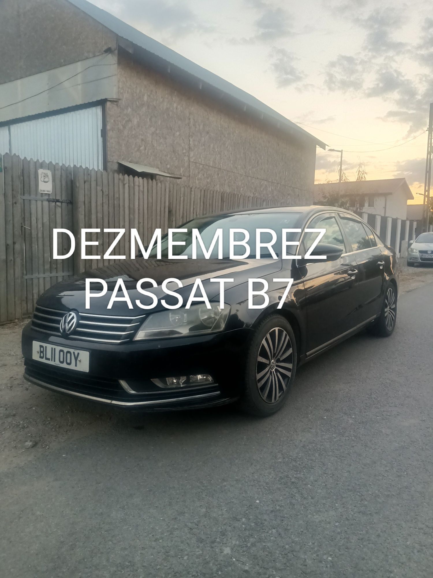 Ușa passat b7 Lc9x