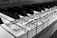 Lectii cursuri pian pentru toate varstele la clubulde muzica SOL