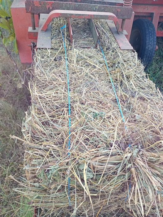 Plug reversibil 2+1 cu 2 furtune la cilindru,antetrupite,Semanatoare ,