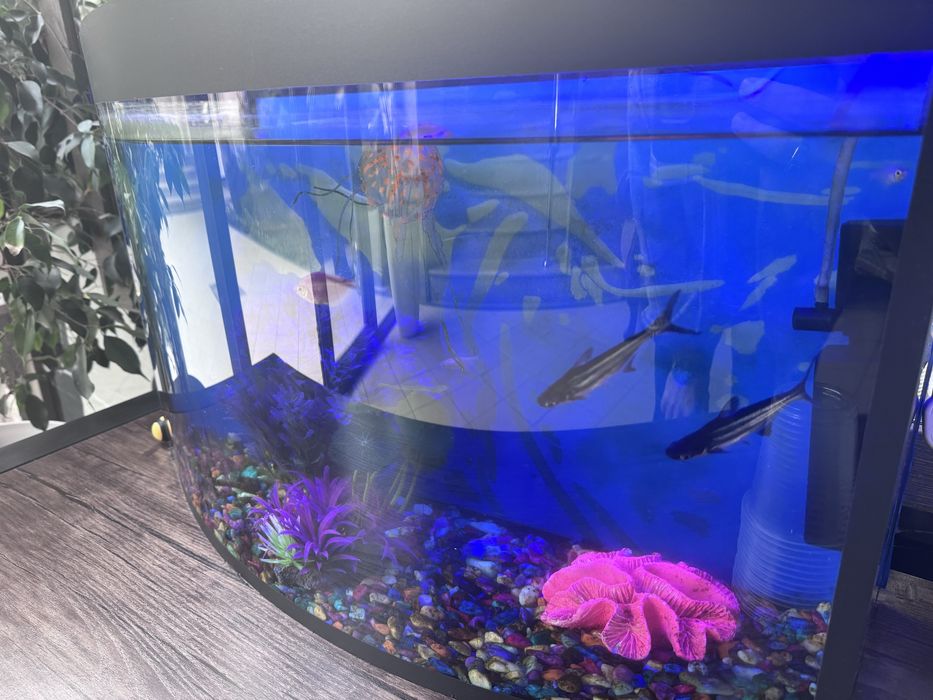 Akvarium srochno sotiladi 45-50 litr
