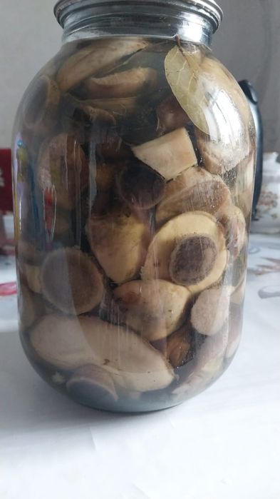 маринованные грибы