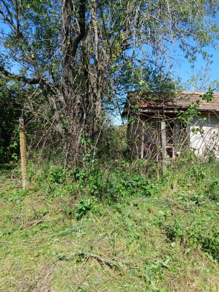 Косена на трева, почистване на дворове