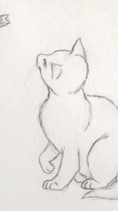 Рисую кошек и собак