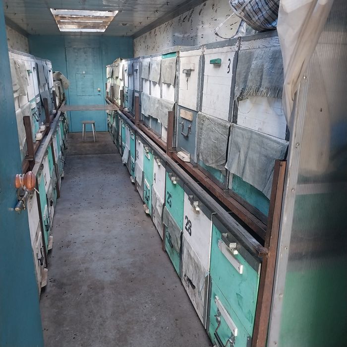 Подам пчелоприцеп.