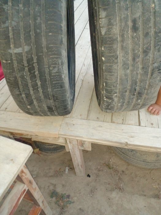 Донгелек  жагдайы жаман емес