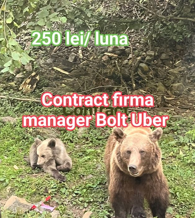 Cel mai ieftin! Manager taxi sau Bolt Uber 500 lei Toate actele la zi