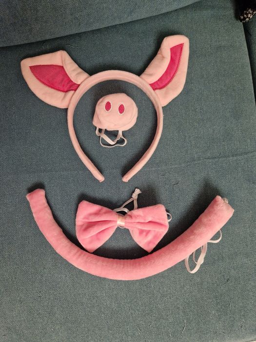 Set purcelus cabina foto petreceri