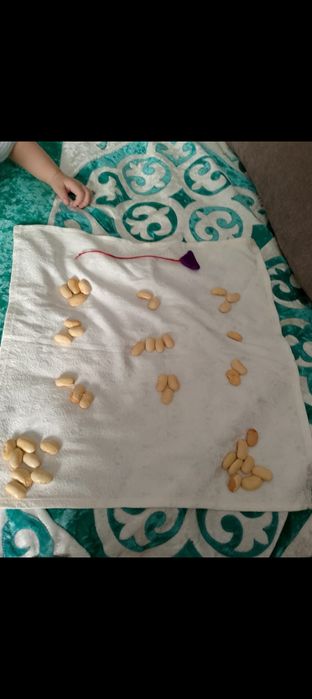 Кабарласыниз кабарласыниз кабарласыниз 100%