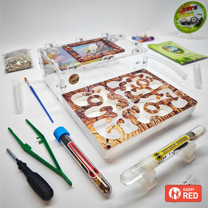 Муравьиная ферма - Муравьи жнецы ||| ГИПСОВЫЙ Формикарий "ADVANCED"