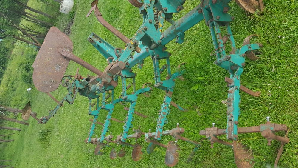 Prasitoare de porumb