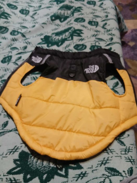 Яке за куче с цип