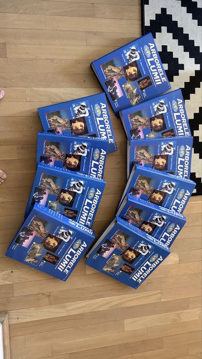 Colectia Arborele Lumii 9 Bibliorafturi