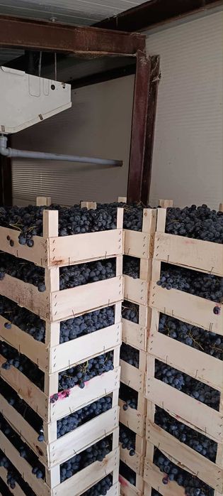 Stuguri de masa- ceasla, moldova la camera frig