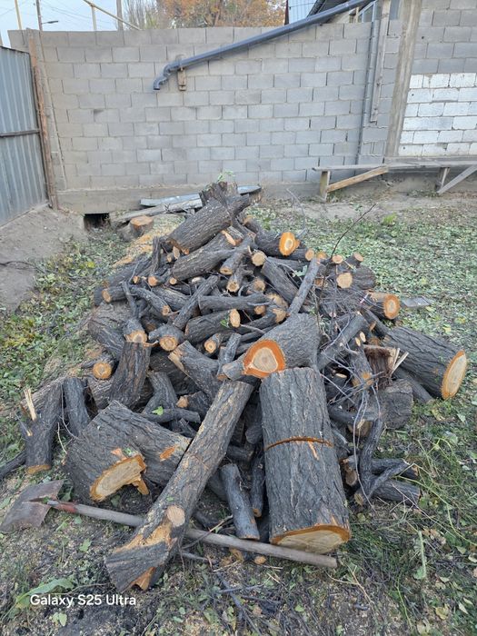 Продам дрова в чурках и рубленные  урюк и яблоко.