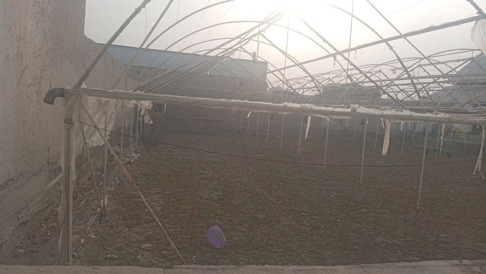 Parnik Teplitsa srochniga sotiladi arzon