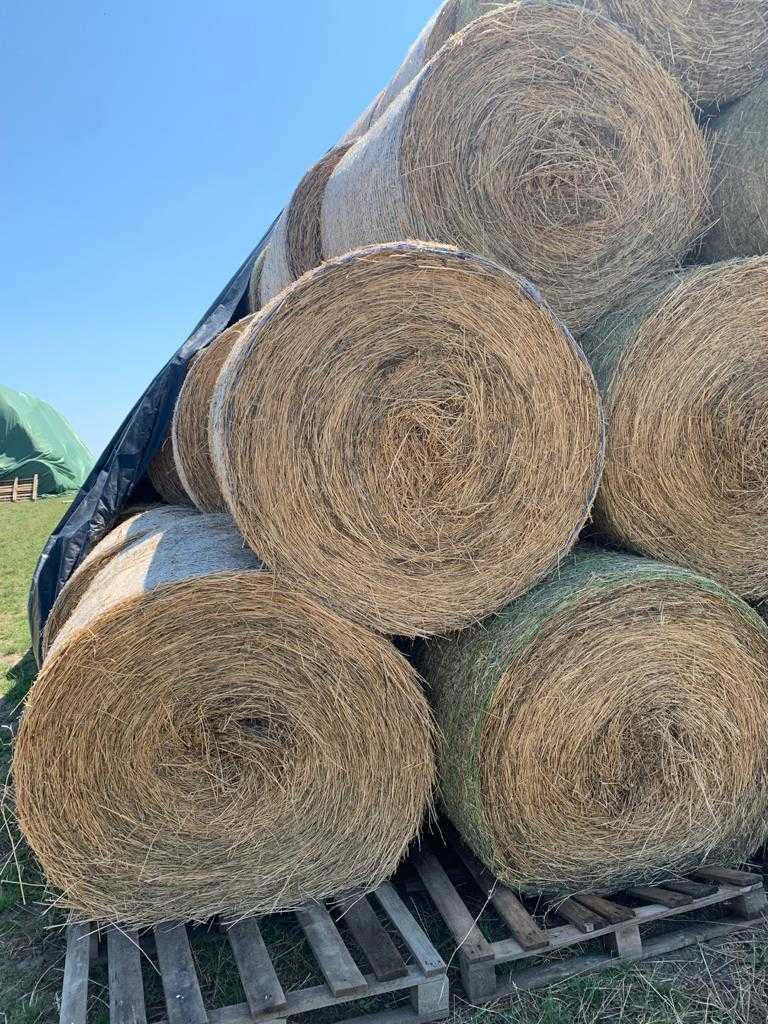 Baloti lucerna, fan, borceag, iarba de sudan 2025
