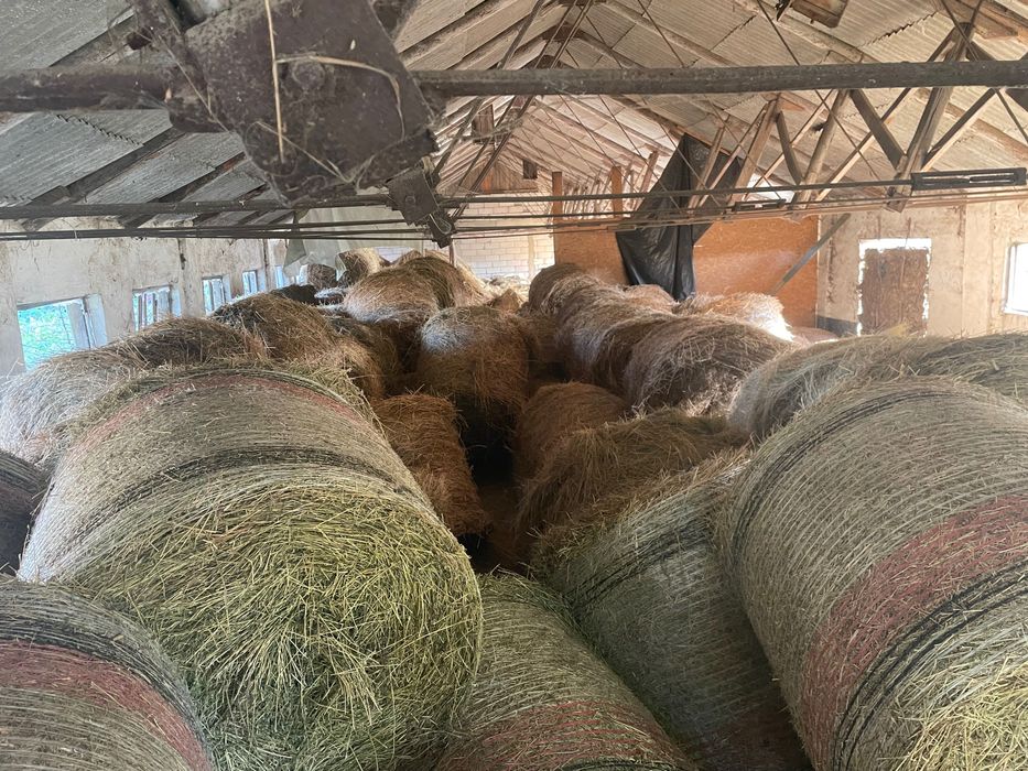 Vand Baloti Lucerna si Fan