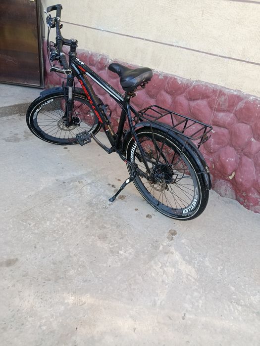 Sport velasabeti