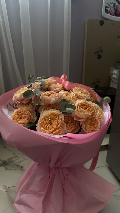 свежие только вчера ночью пришли