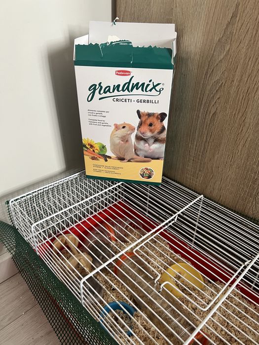 2 hamsteri + accesorii