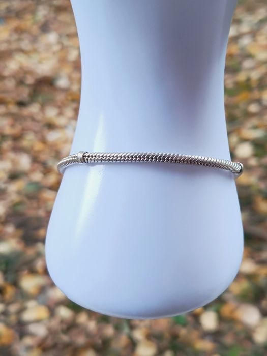 Veche bratara Pandora