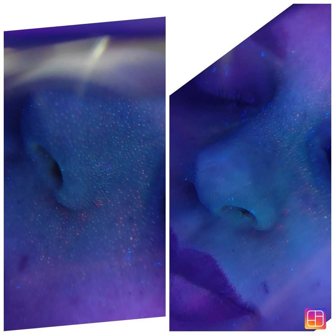 Cosmetica  / Pensat
