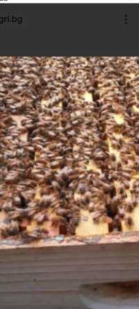 Пчелни рамки дадан блат