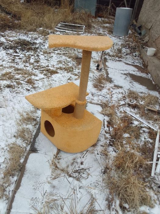 Продам домик для кота