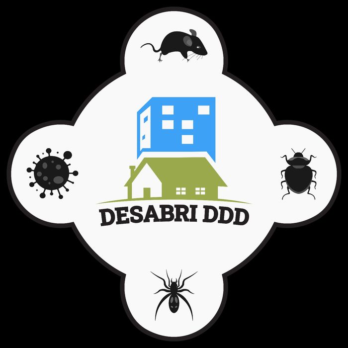 Dezinsecție Dezinfecție Deratizare