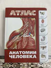 Продам атлас по анатомии человека