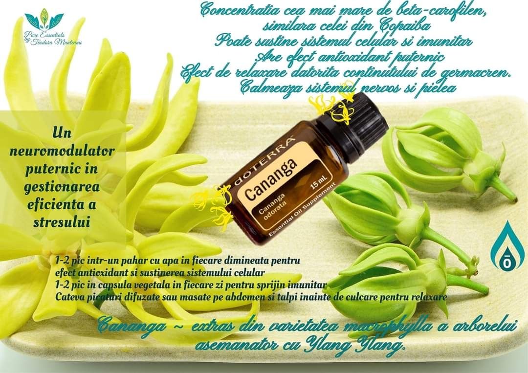 Ulei esențial Cananga doTerra 15 ml