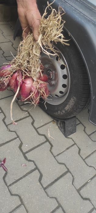Vand ceapa de apa