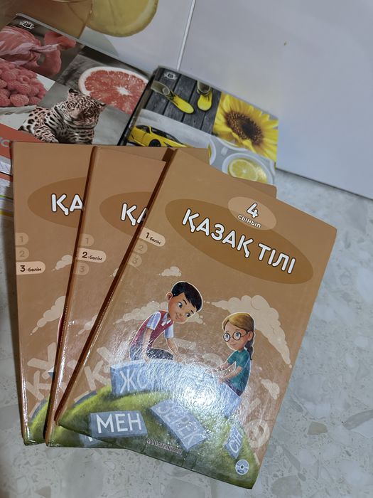 Математика 4 класса, русский язык 4 класса, казахский язык 4 класса.