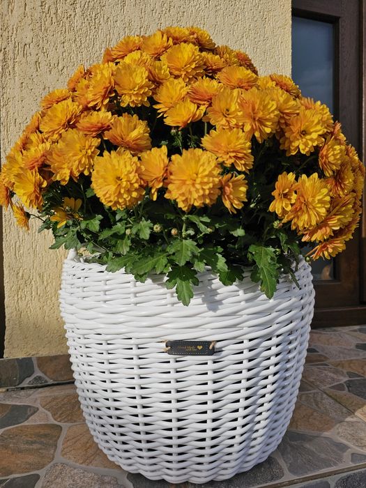 Ghiveci împletit din ratan sintetic, Handmade, volum 20 l