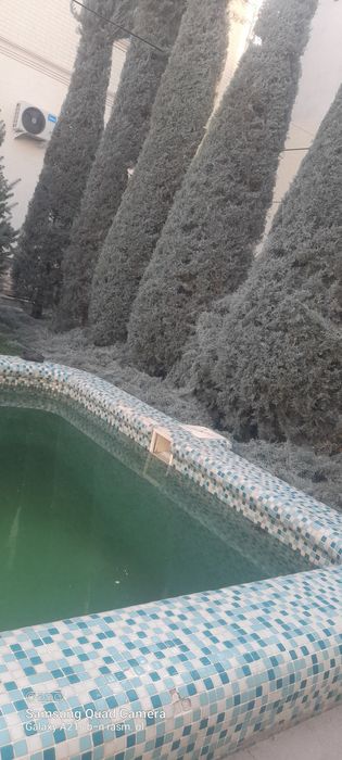 Gazon ekish ,archa kesish,archa ekish xizmati