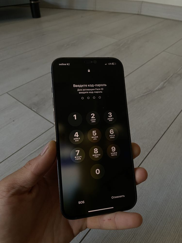Iphone 12 Pro Max