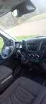 Iveco daily basculabil