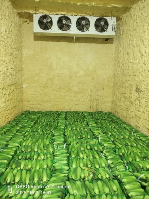 Shirin joʻxori . Marka 832. Сладкая кукуруза