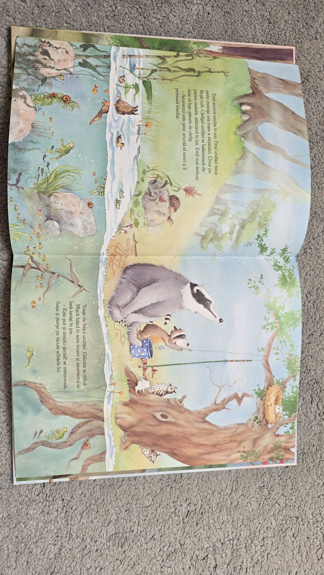 Carte " Ce bine e sa ai prieteni" editura Univers junior
