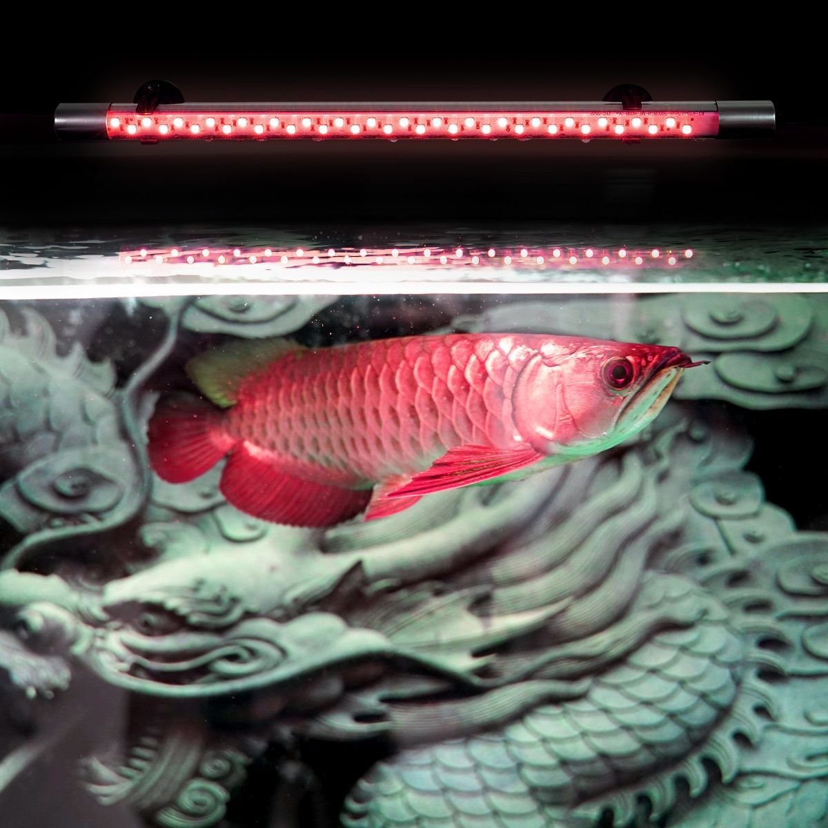 Светодиодная лампа Arowana