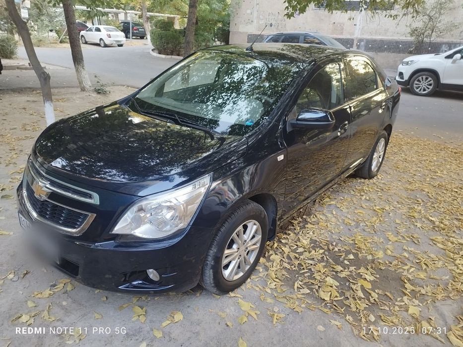 2023 краска тозза